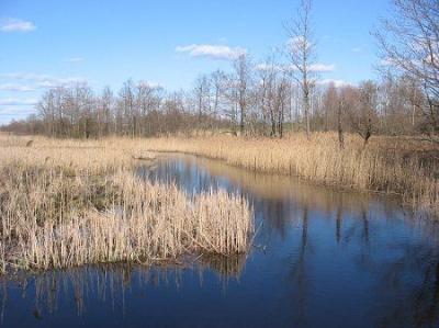 Река Ричанка