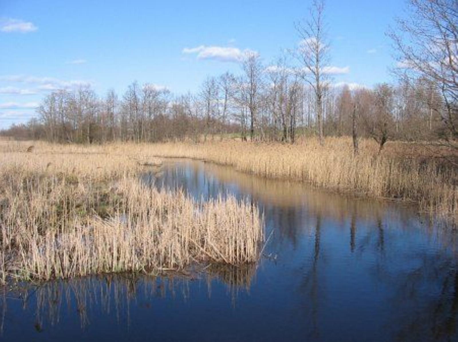 Река Ричанка Река Ричанка