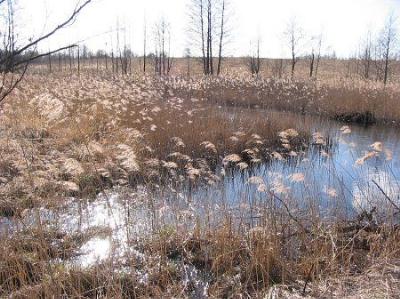 Фотозарисовки