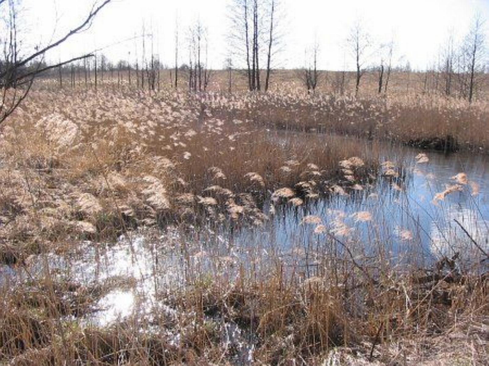 Фотозарисовки Фотозарисовки