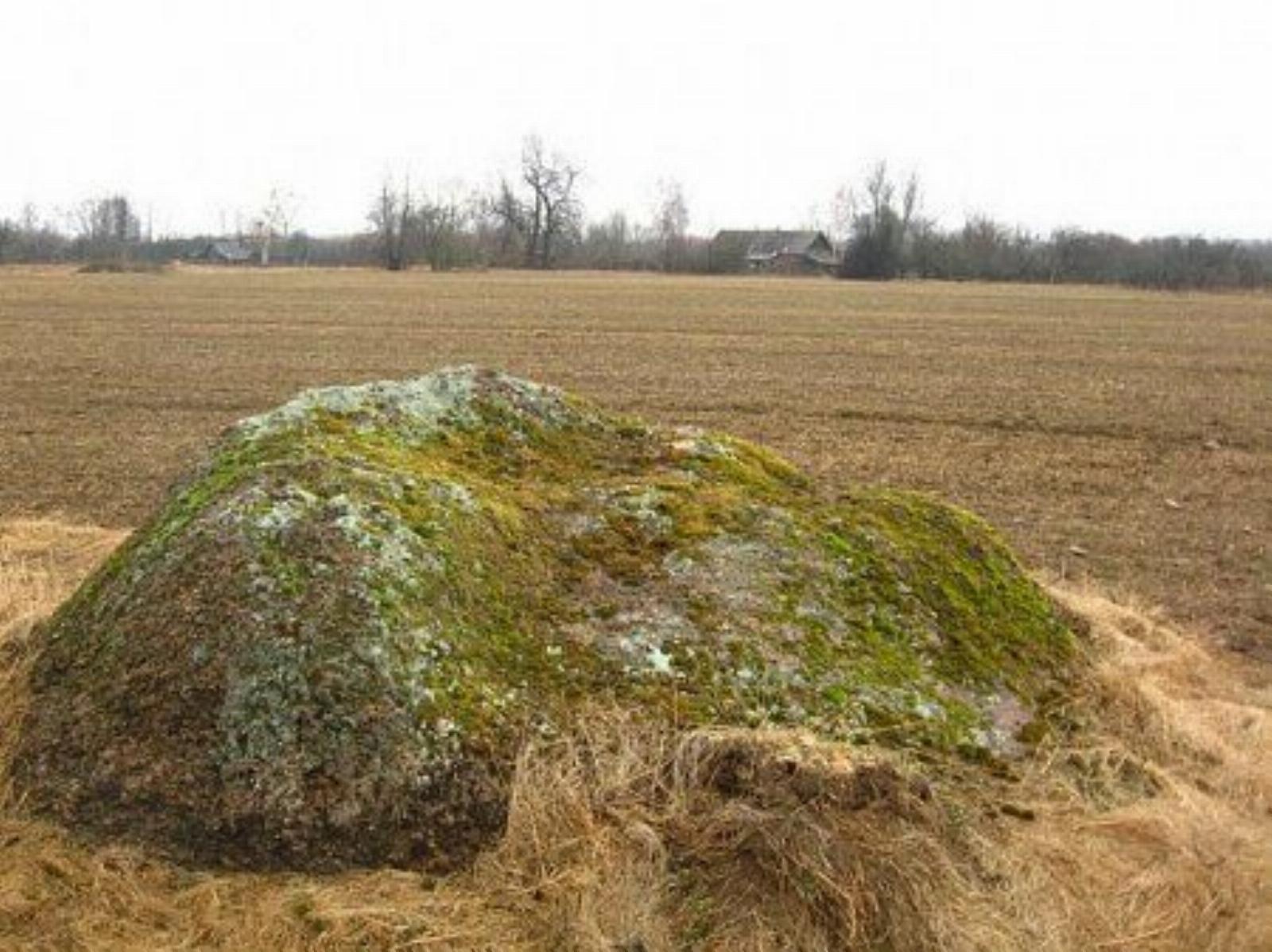 Культовый валун с лунками Культовый валун с лунками