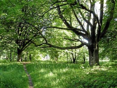 Парк Маньковичи