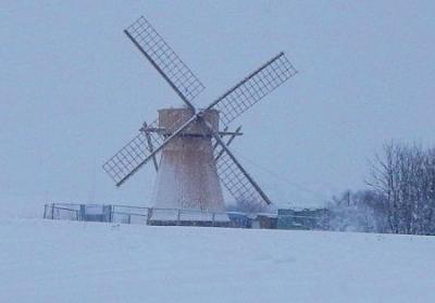 Ветряная мельница из дер. Зеленец (дерев.)
