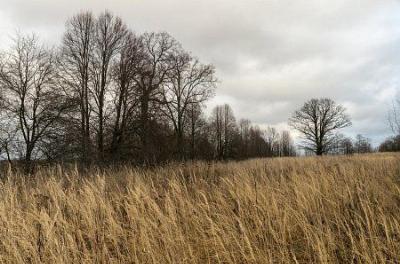 Парк (фрагменты)