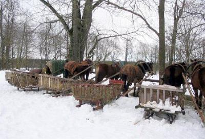 Фотозарисовки