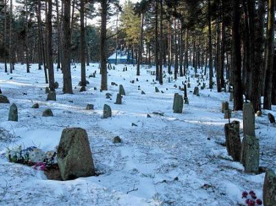 Каменные могилы (археол.)