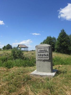 Замчище (археол.)