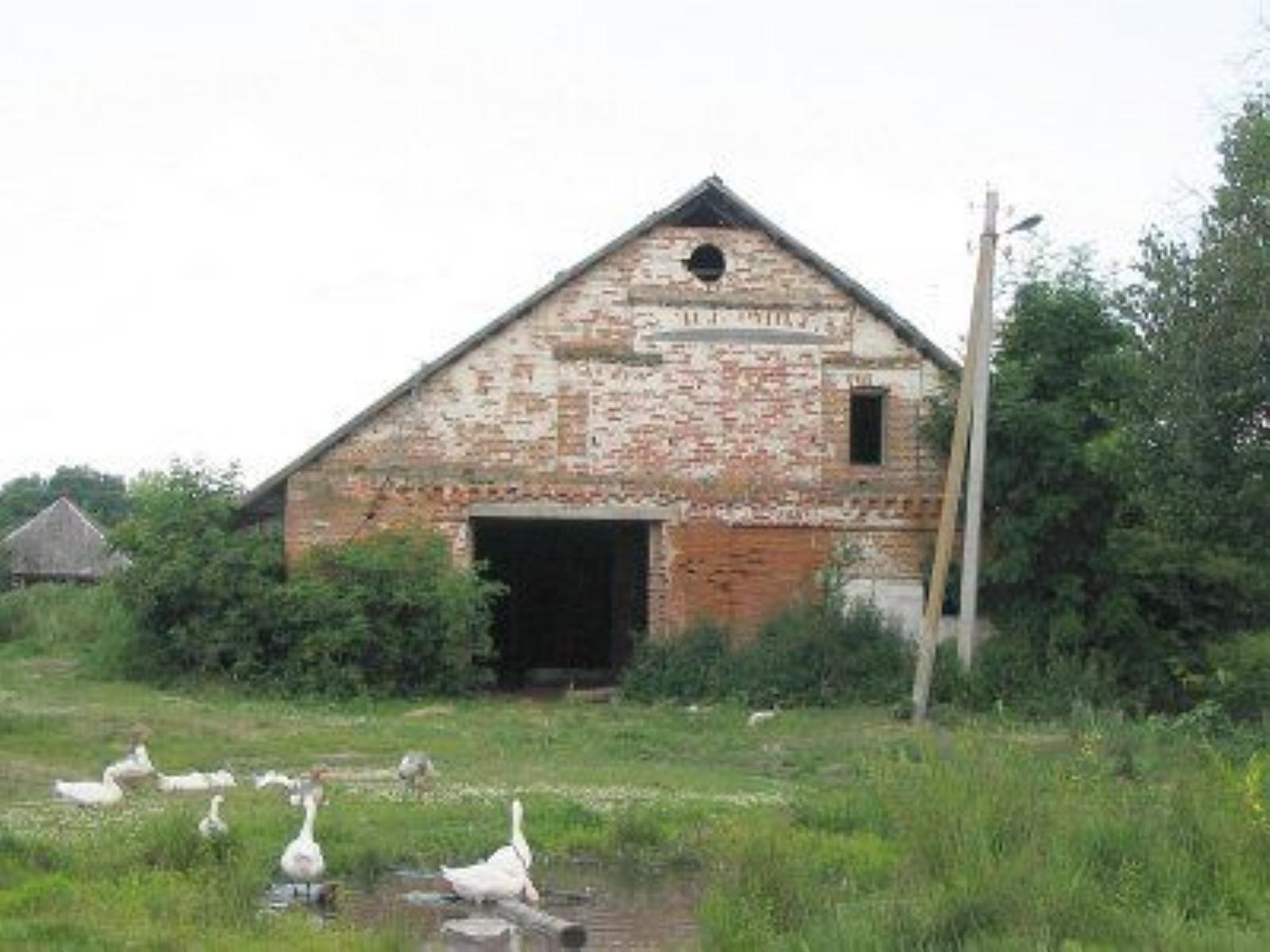 Хозпостройка Хозпостройка