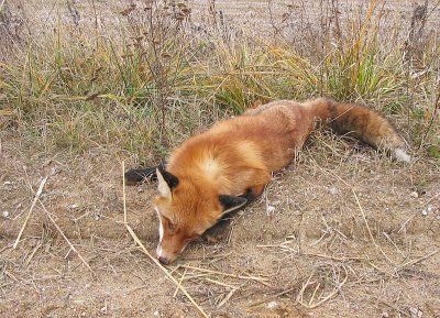 Фотозарисовки