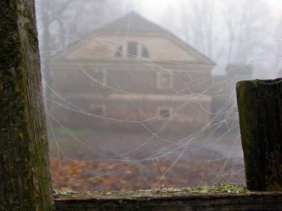 Фотозарисовки