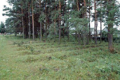 Кладбище солдат 1-й мировой войны