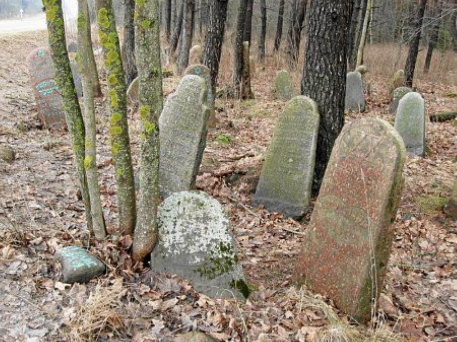 Кладбище еврейское Кладбище еврейское