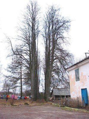 Парк (фрагменты)