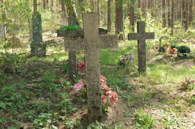 Могилы солдат 1-й мировой войны (?)