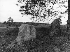 Кладбище еврейское