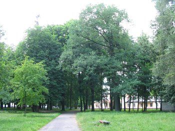 Парк (фрагменты)