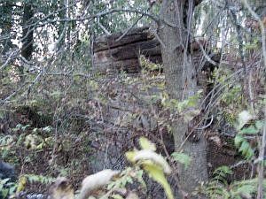 Часовня правосл. (дерев.; руины)