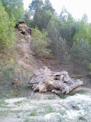 Ледниковый конгломерат и песчаник (?)