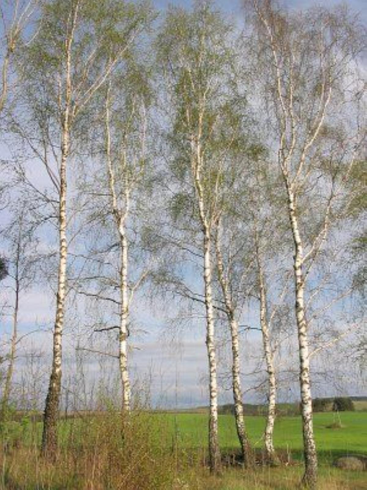 Фотозарисовки Фотозарисовки