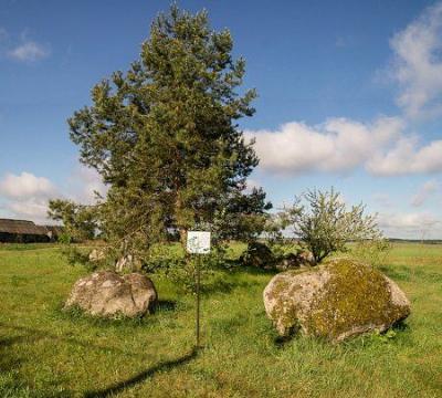 Культовые валуны с круглыми лунками