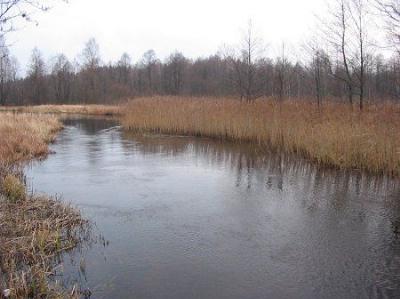 Река Нарочь