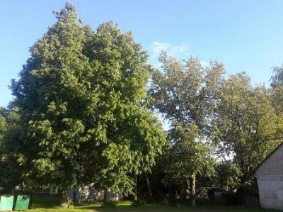 Усадьба Милошей