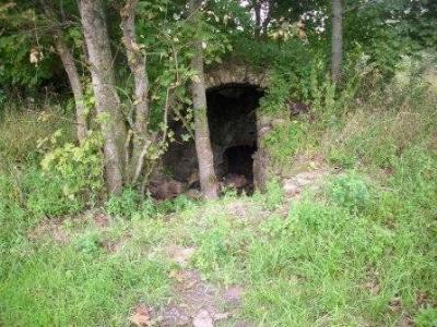 Ледовня (руины)