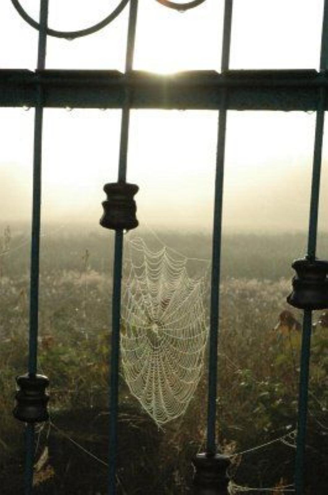 Фотозарисовки Фотозарисовки