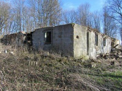 Усадебный дом /сохр. частично/