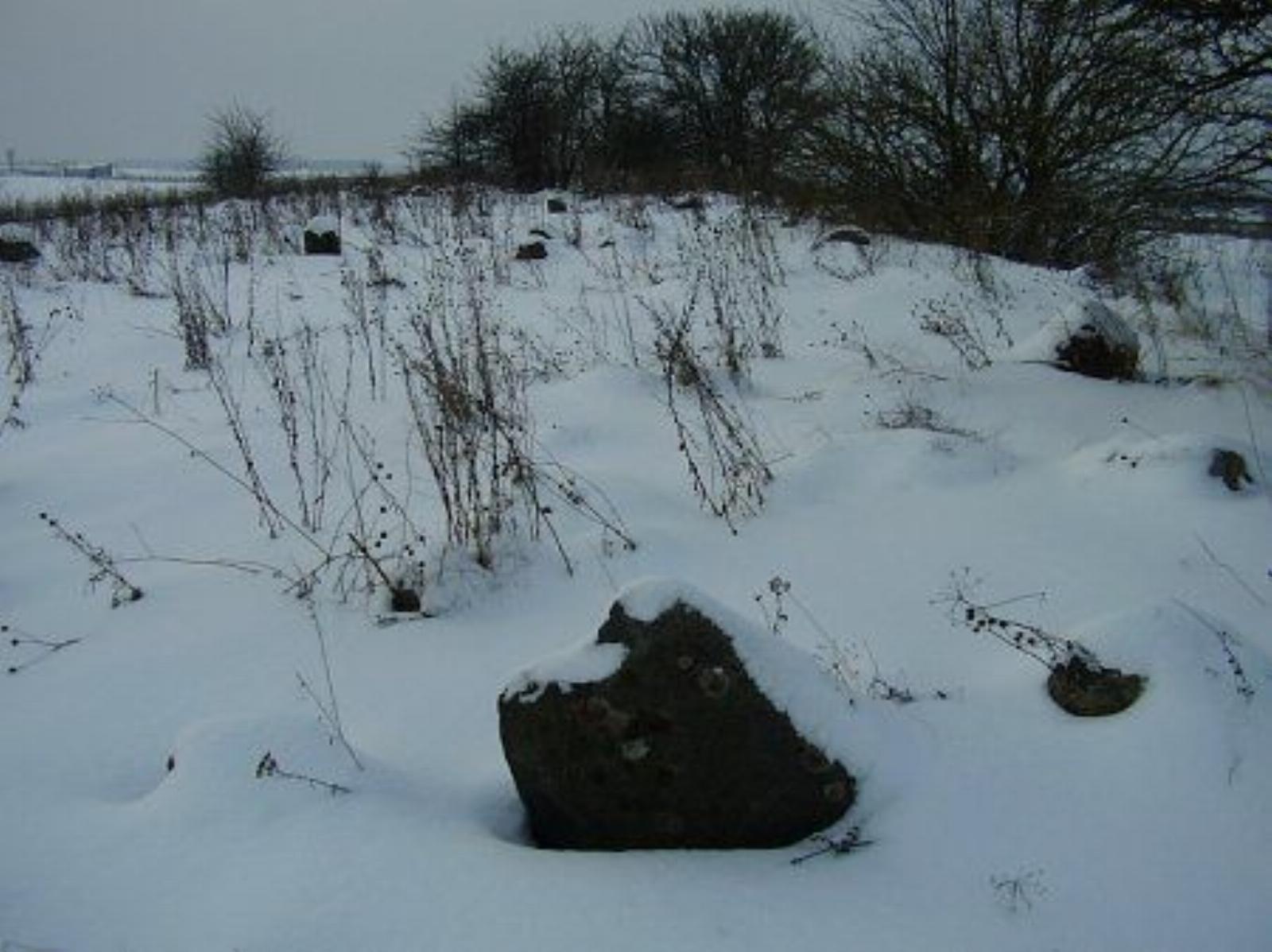 Кладбище еврейское Кладбище еврейское