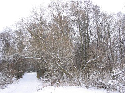 Парк (фрагменты)