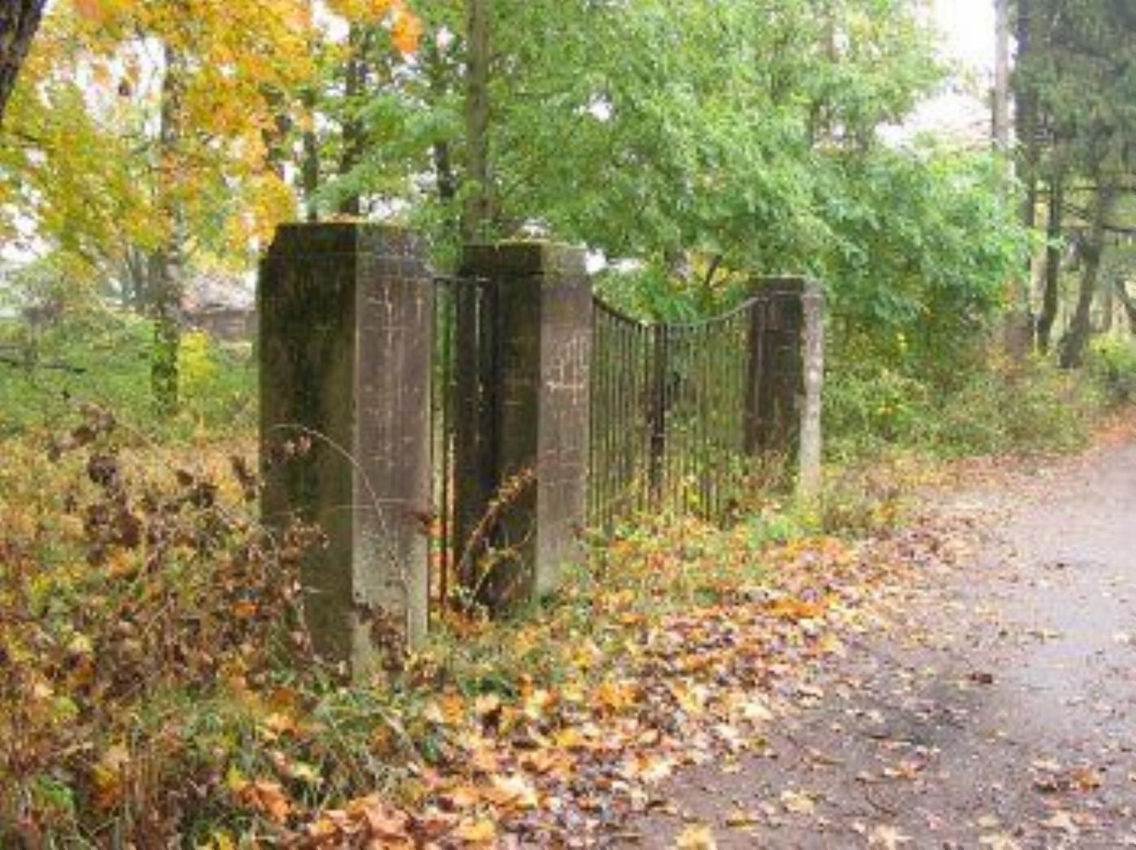 Брама Брама