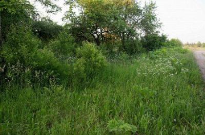 Кладбище солдат 1-й мировой войны