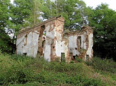 Усадебный дом (руины)