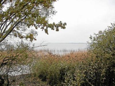 Географический центр Европы (по одной из версий)