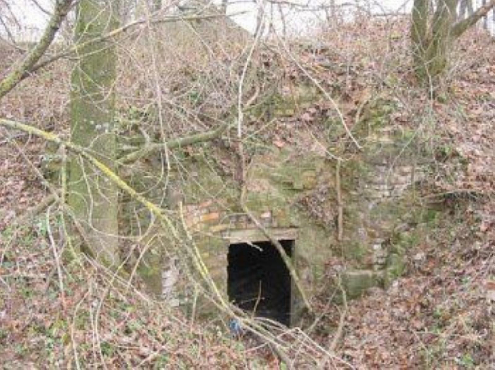 Дворец /сохр. подвалы/ Дворец /сохр. подвалы/