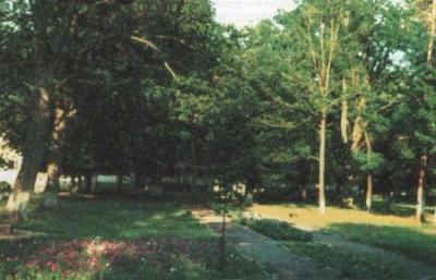 Парк (фрагменты)