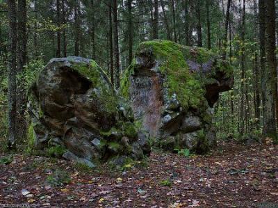 Валун Расколотый камень Альбертинский