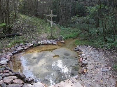 Родник Ясенец