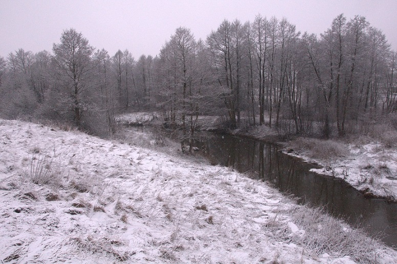 DSC_0002_10.jpg