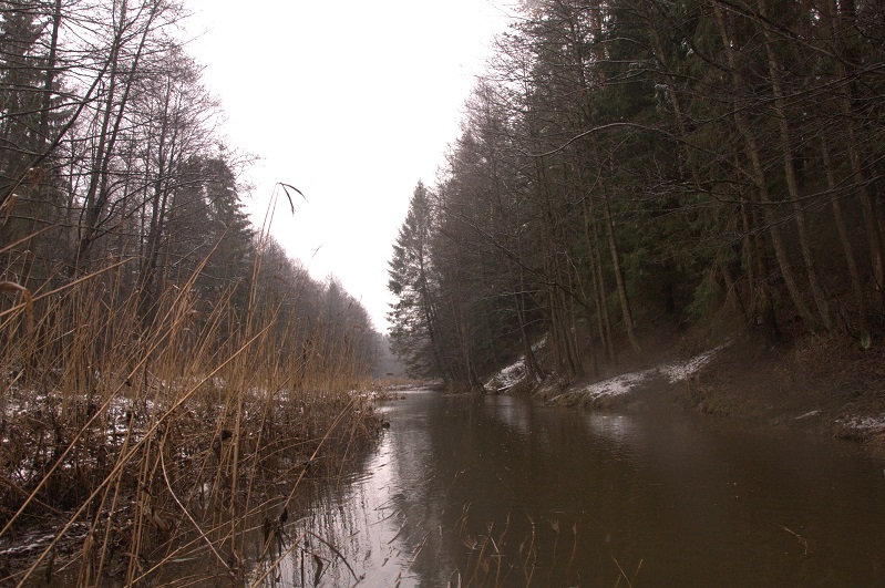 DSC_0017_6.jpg