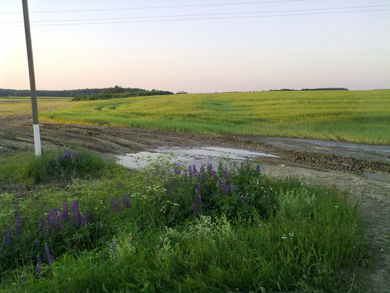 30062009420.jpg