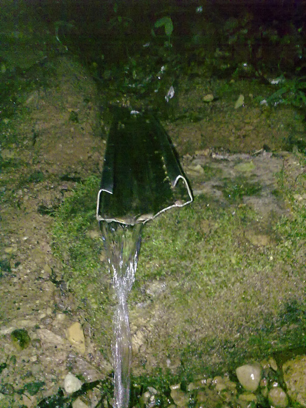 30062009427.jpg