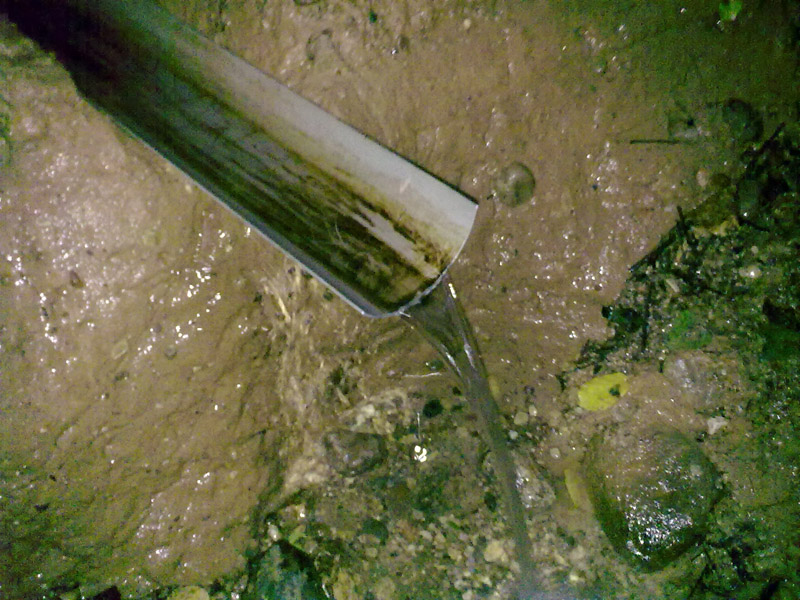30062009423.jpg
