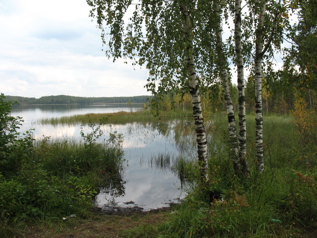 IMG_3423_res.jpg