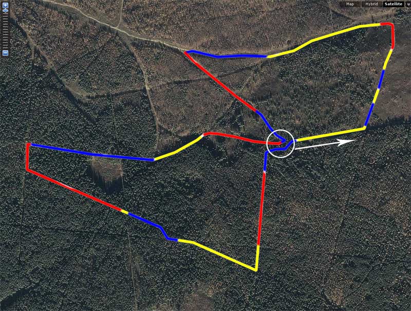 Medved_lap1.jpg