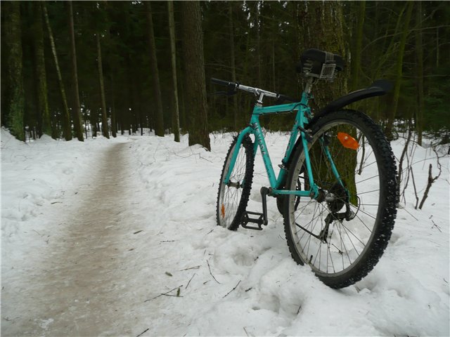 c650dd3b9d5c.jpg