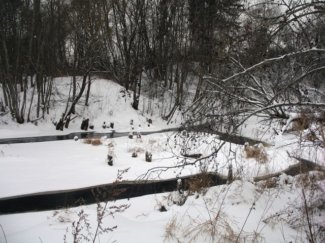 IMG_9496.jpg
