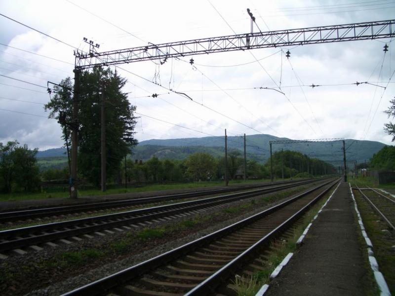 Resize_of_CIMG1095.jpg