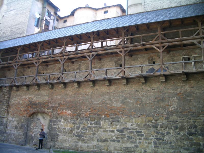 CIMG0877.jpg